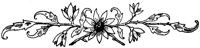 FMF021C.TIF