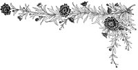 FMF015A.TIF