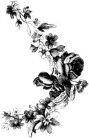 FMF009D.TIF