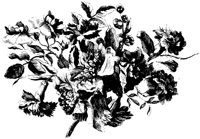 FMF008F.TIF