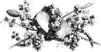 FMF005A.TIF
