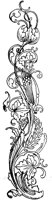 FMF073L.TIF