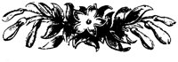 FMF072V.TIF