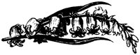 FMF072N.TIF