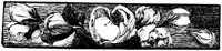 FMF070B.TIF