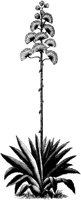 FMF066C.TIF