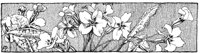 FMF056D.TIF