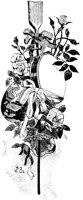 FMF047D.TIF