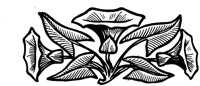 FMF099N.TIF