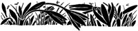 FMF084B.TIF
