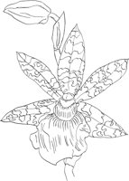 ORW045A.TIF