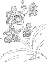 ORW044A.TIF