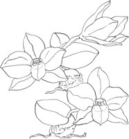ORW042A.TIF
