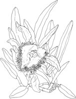 ORW040A.TIF