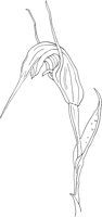 ORW038A.TIF