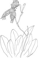ORW037A.TIF