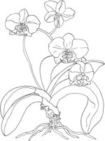ORW036A.TIF