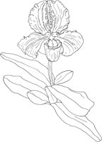 ORW035A.TIF
