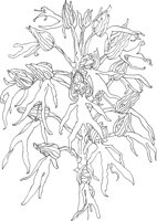 ORW034A.TIF