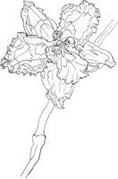 ORW031A.TIF