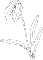 ORW028A.TIF