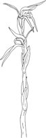 ORW027A.TIF
