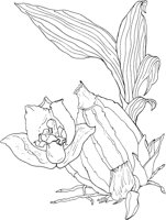 ORW026A.TIF