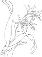 ORW025A.TIF