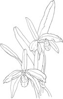 ORW024A.TIF