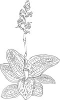 ORW023A.TIF