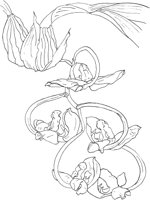 ORW022A.TIF