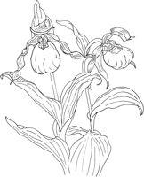ORW016A.TIF