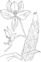 ORW014A.TIF