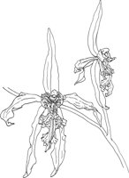 ORW013A.TIF