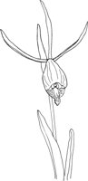 ORW012A.TIF