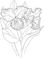 ORW005A.TIF