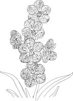 ORW003A.TIF