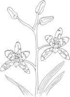 ORW002A.TIF