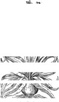 PFW036C.TIF