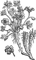 PFW008C.TIF