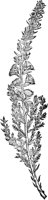 PFW148A.TIF