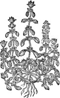 PFW127A.TIF