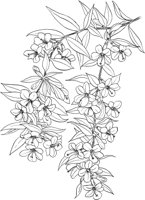 AWF046A.TIF