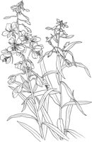 AWF045A.TIF