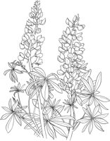 AWF043A.TIF