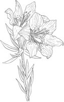 AWF041A.TIF