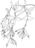 AWF036A.TIF