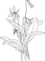 AWF035A.TIF