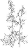 AWF034A.TIF