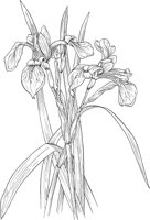 AWF032A.TIF